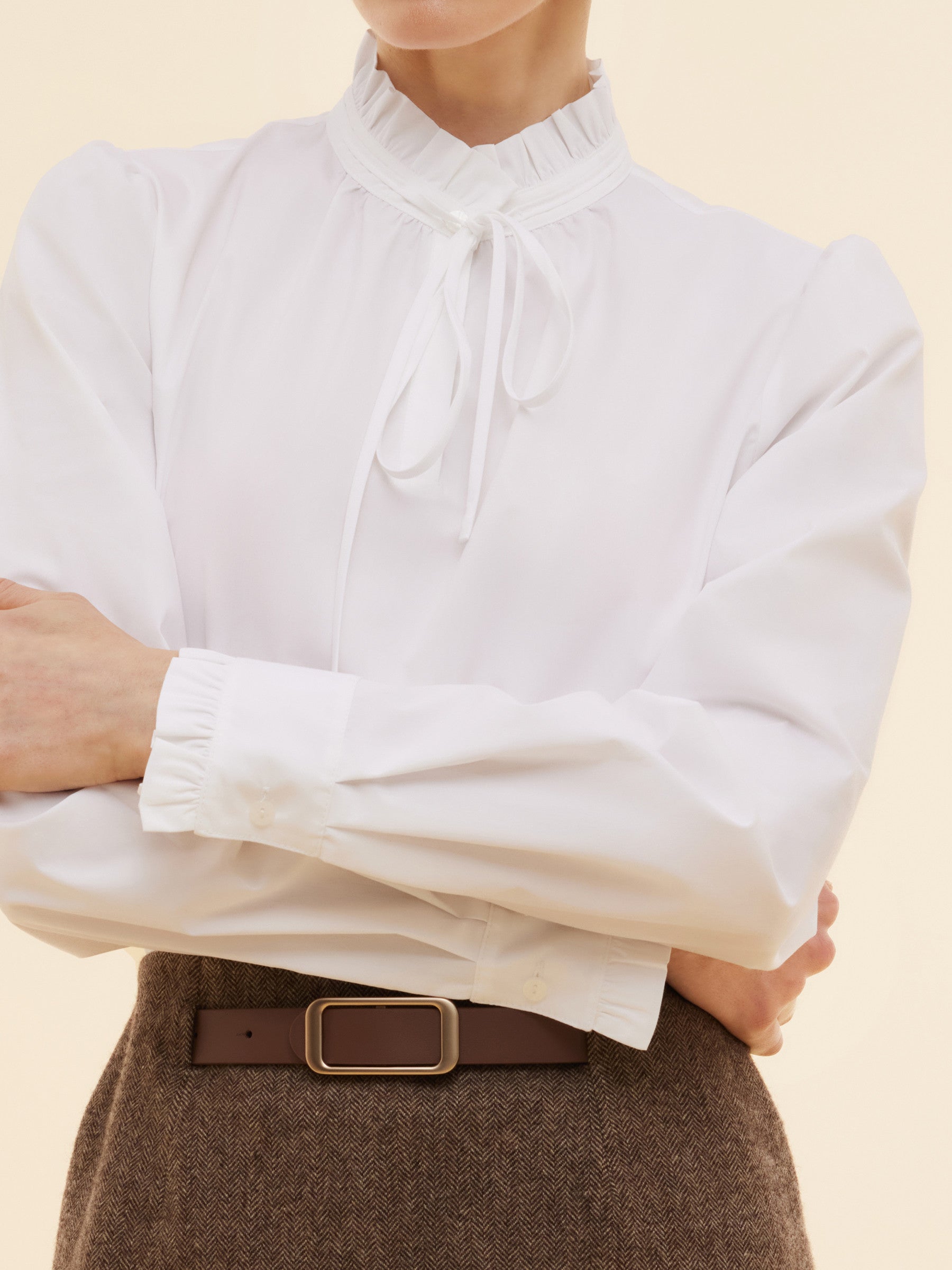 Ruffle Neckline Women Puff Long Sleeve Blouse